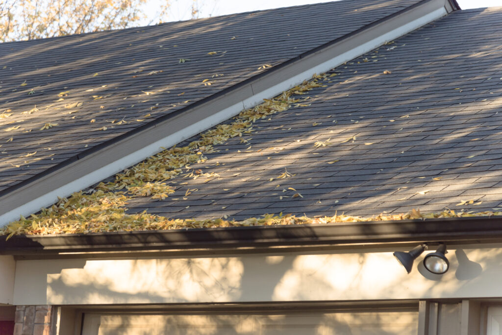 Pile of dried leaves on roof